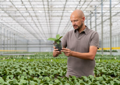 Help, wat is er aan de hand met mijn orchidee?