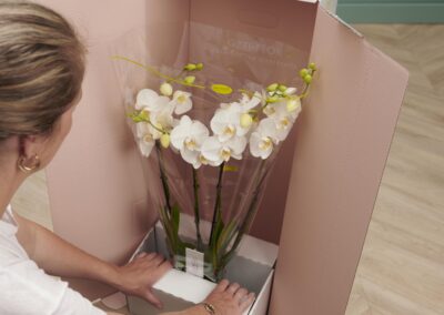 Het verzendproces van uw orchidee